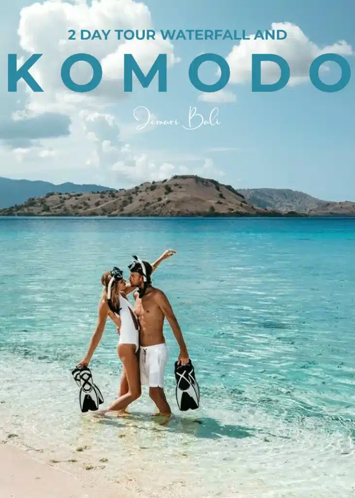 Komodo and Waterfall Tour 2 Day